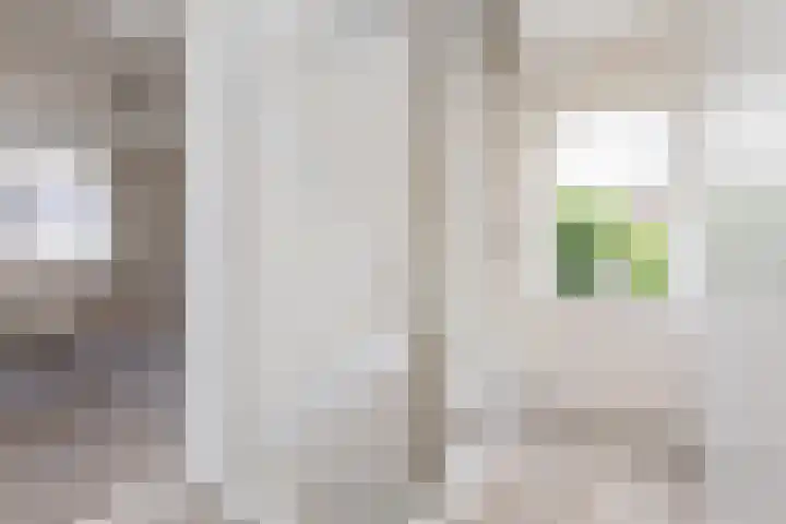 Tomme 8 a Sneek thumbnail 15