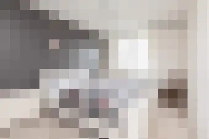 Tomme 8 a Sneek thumbnail 16