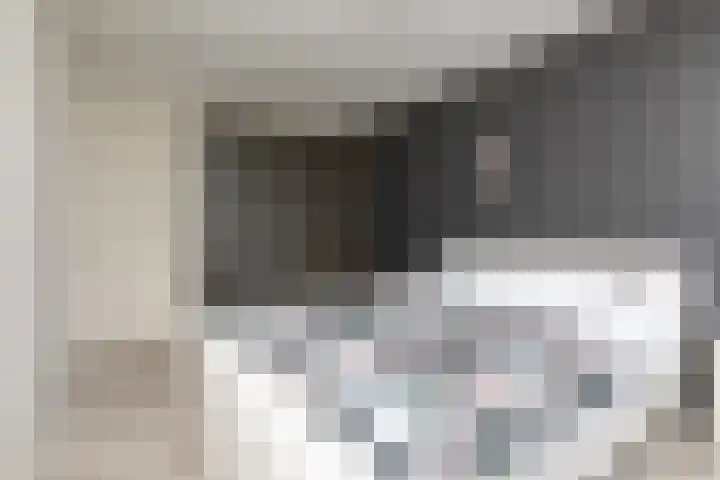 Tomme 8 a Sneek thumbnail 17