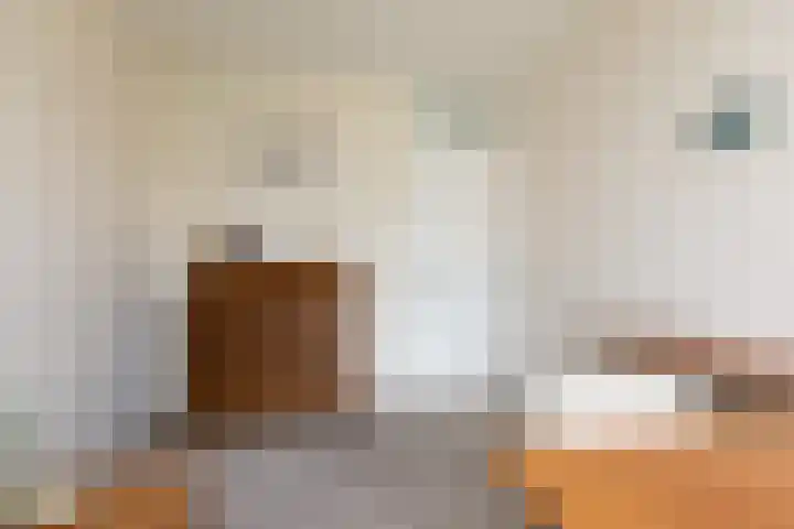 Tomme 8 a Sneek thumbnail 19