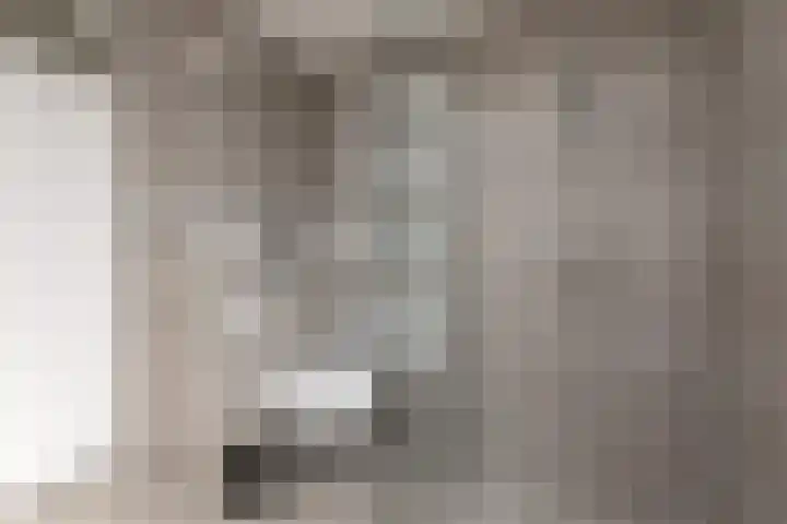 Tomme 8 a Sneek thumbnail 22