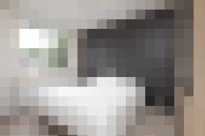 Tomme 8 a Sneek thumbnail 25