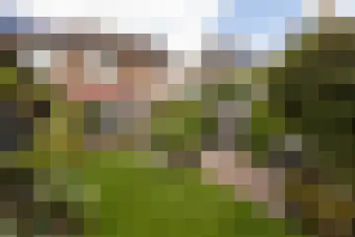 Tomme 8 a Sneek thumbnail 29