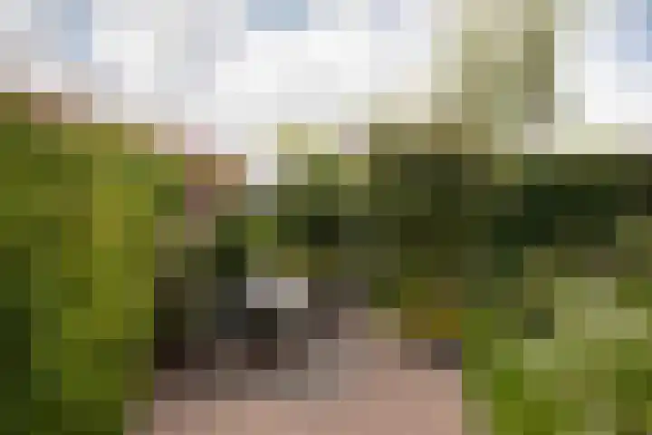 Tomme 8 a Sneek thumbnail 30