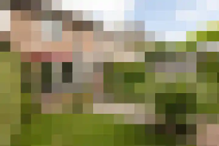 Tomme 8 a Sneek thumbnail 33