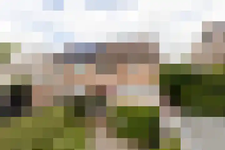 Tomme 8 a Sneek thumbnail 37