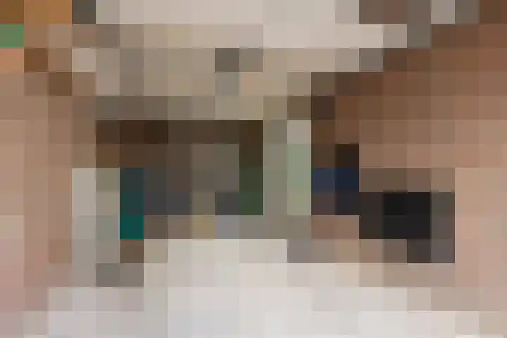 Tomme 8 a Sneek thumbnail 38