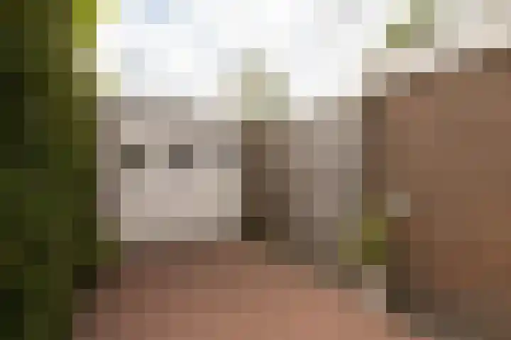 Tomme 8 a Sneek thumbnail 40