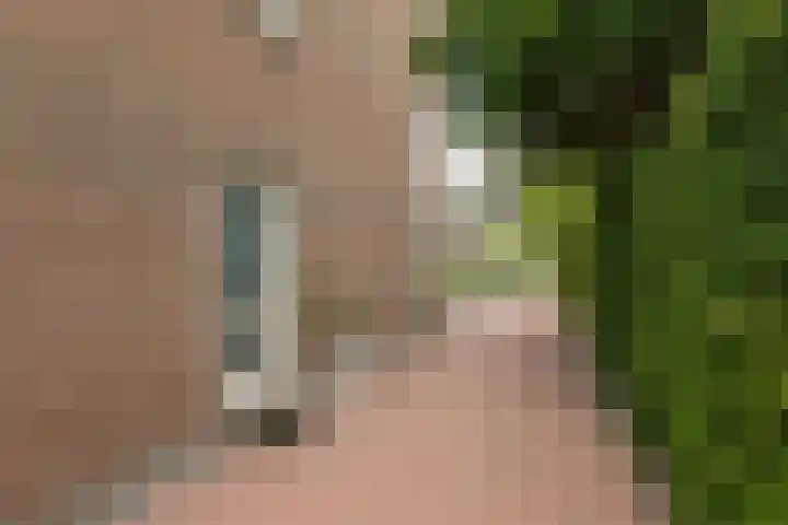 Tomme 8 a Sneek thumbnail 42
