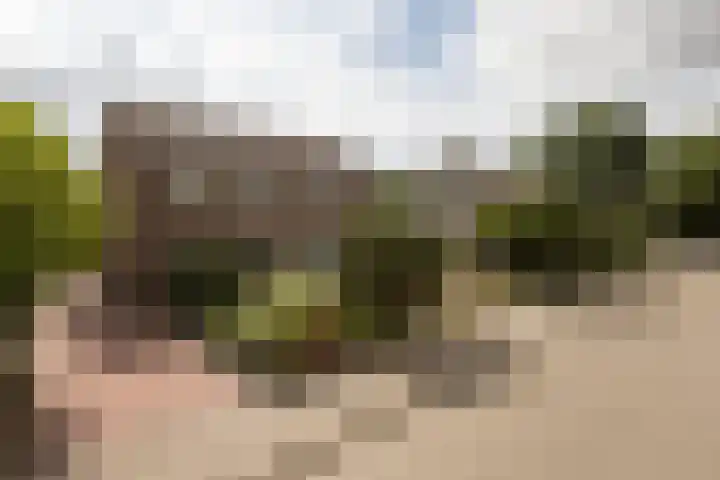 Tomme 8 a Sneek thumbnail 44