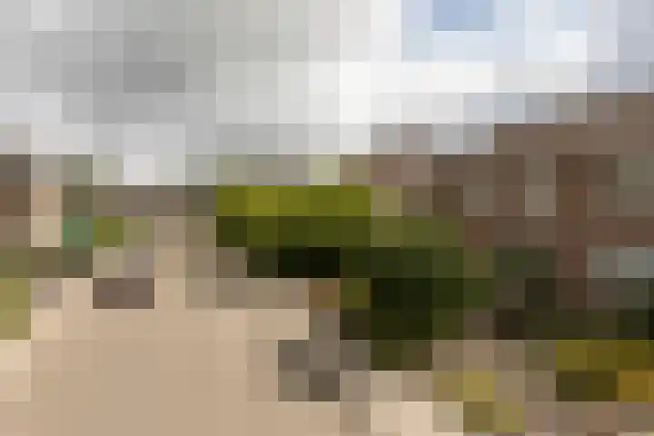 Tomme 8 a Sneek thumbnail 45