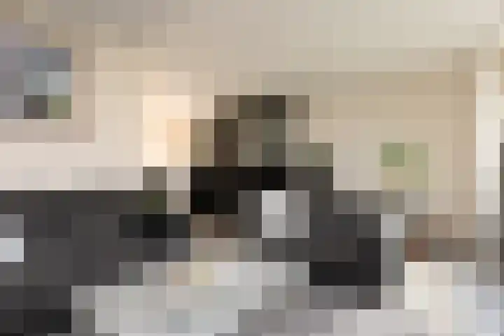 Tomme 8 a Sneek thumbnail 5