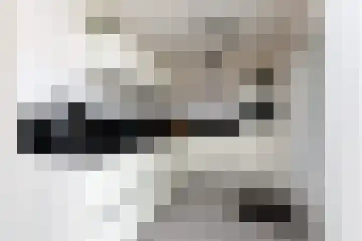 Tomme 8 a Sneek thumbnail 9