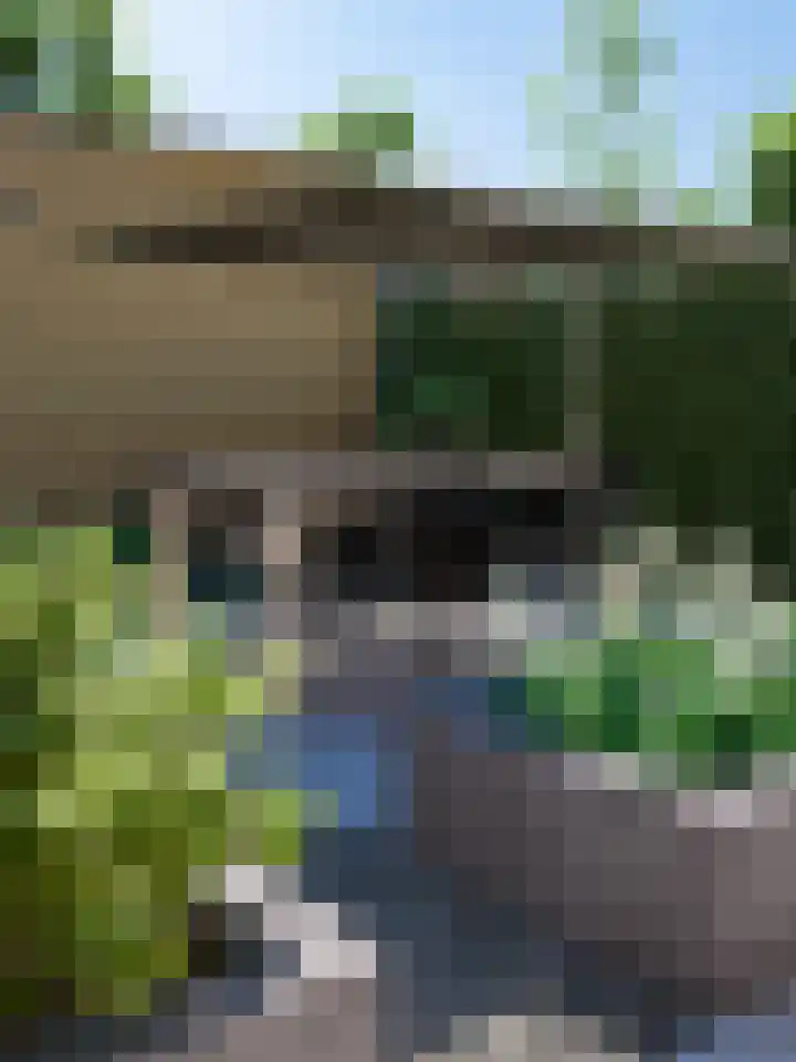 Tommeakker 4 Veghel thumbnail 8