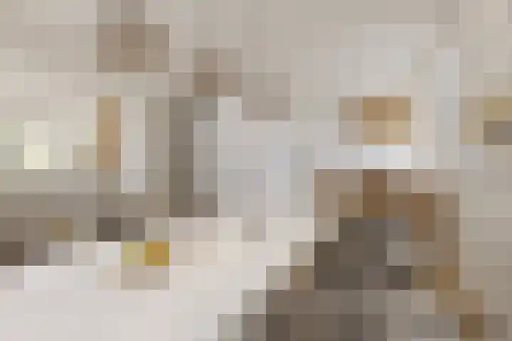 Top Naeffdreef 71 Tilburg thumbnail 10