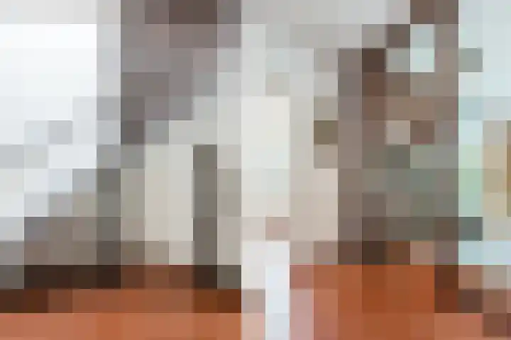 Top Naeffdreef 71 Tilburg thumbnail 16