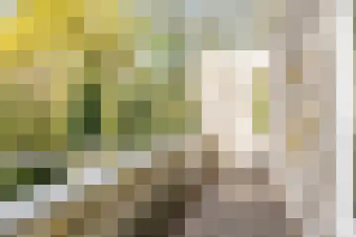 Top Naeffdreef 71 Tilburg thumbnail 21