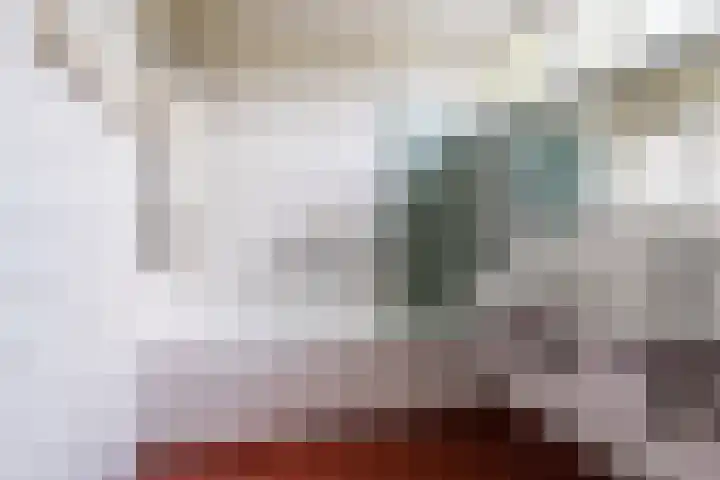Top Naeffdreef 71 Tilburg thumbnail 29