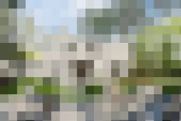 Top Naeffdreef 71 Tilburg thumbnail 35