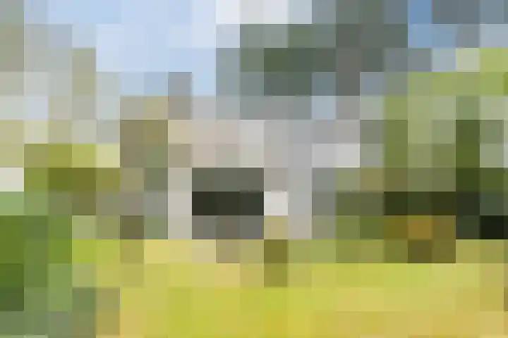 Top Naeffdreef 71 Tilburg thumbnail 36