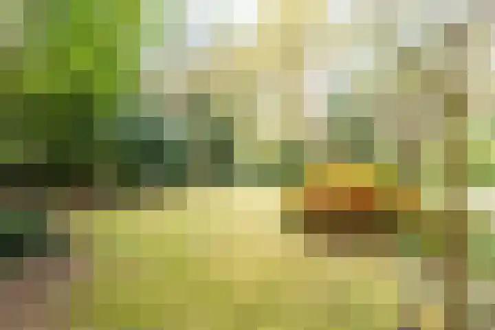 Top Naeffdreef 71 Tilburg thumbnail 38