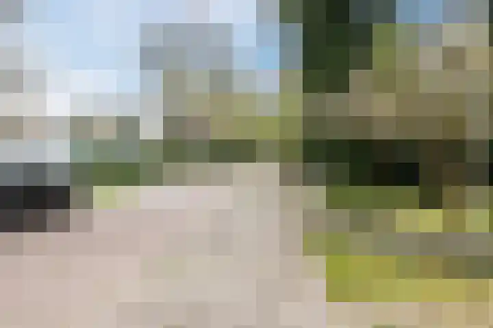 Top Naeffdreef 71 Tilburg thumbnail 45