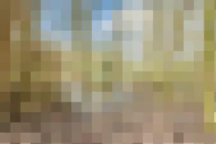 Top Naeffdreef 71 Tilburg thumbnail 46