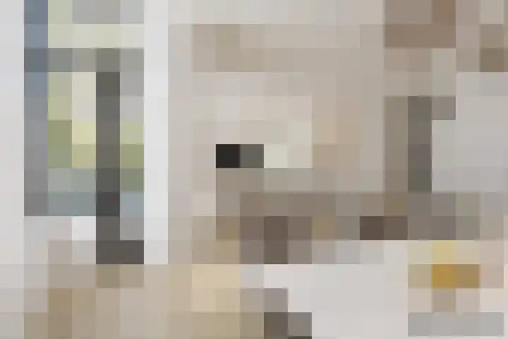 Top Naeffdreef 71 Tilburg thumbnail 8