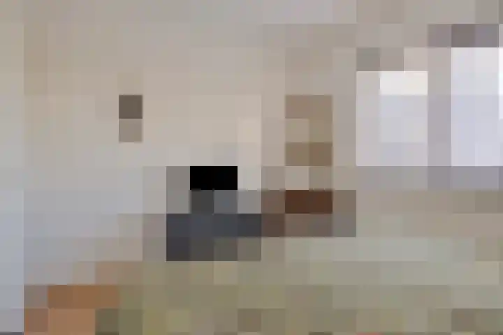 Topaas 19 Drachten thumbnail 23