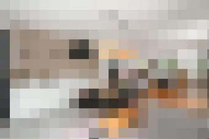 Topaas 2 a Drachten thumbnail 14