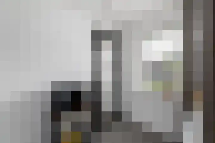 Topaas 2 a Drachten thumbnail 17