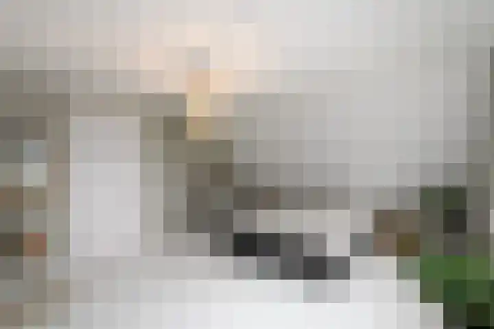 Topaas 2 a Drachten thumbnail 21