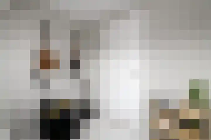 Topaas 2 a Drachten thumbnail 26