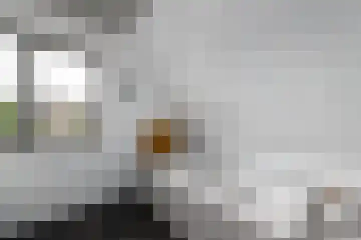 Topaas 2 a Drachten thumbnail 33