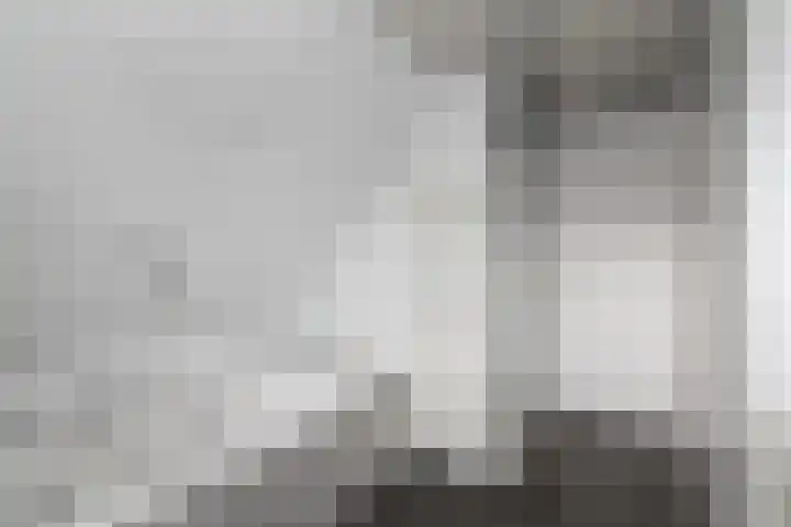 Topaas 2 a Drachten thumbnail 35
