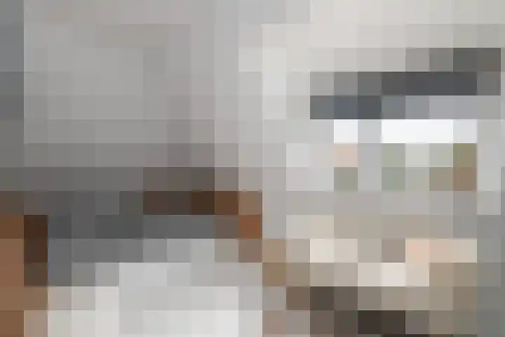 Topaas 2 a Drachten thumbnail 37