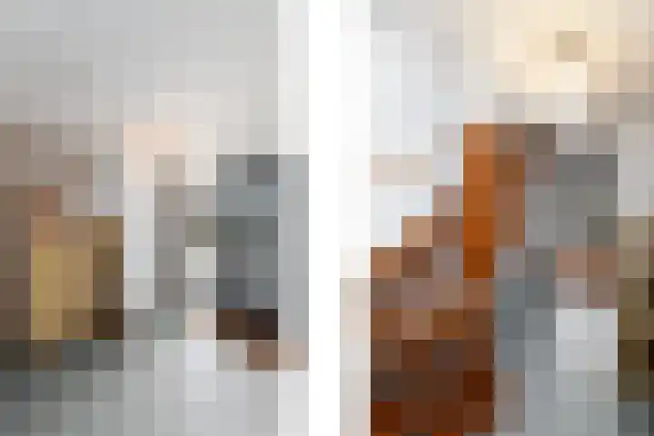 Topaas 2 a Drachten thumbnail 4