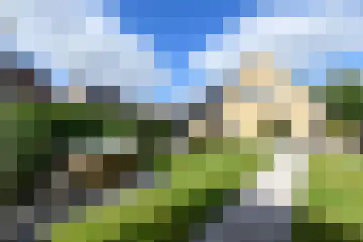 Topaas 2 a Drachten thumbnail 43