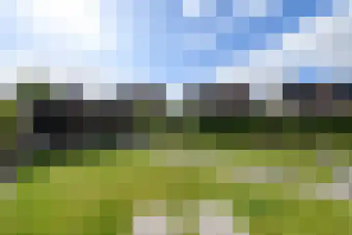 Topaas 2 a Drachten thumbnail 47