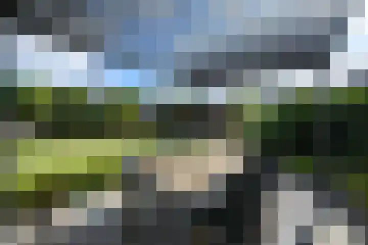Topaas 2 a Drachten thumbnail 50