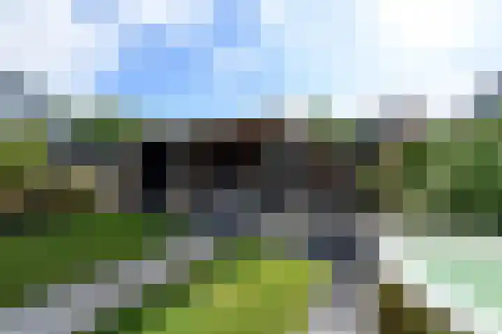 Topaas 2 a Drachten thumbnail 51