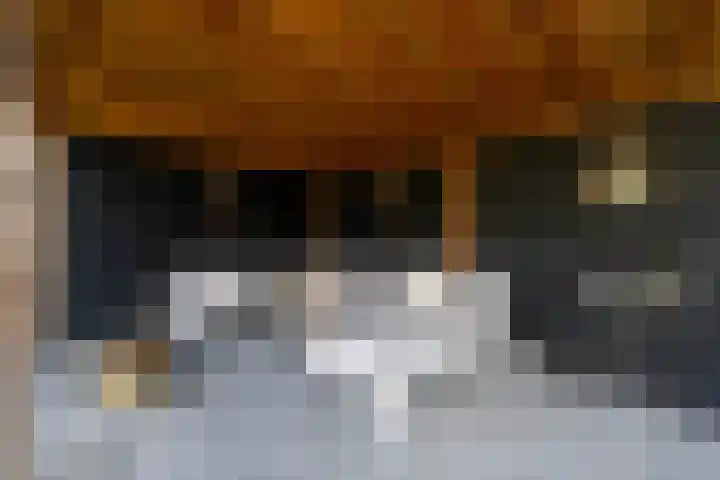 Topaas 2 a Drachten thumbnail 53