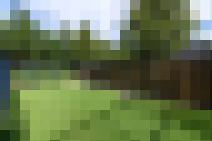 Topaas 2 a Drachten thumbnail 56