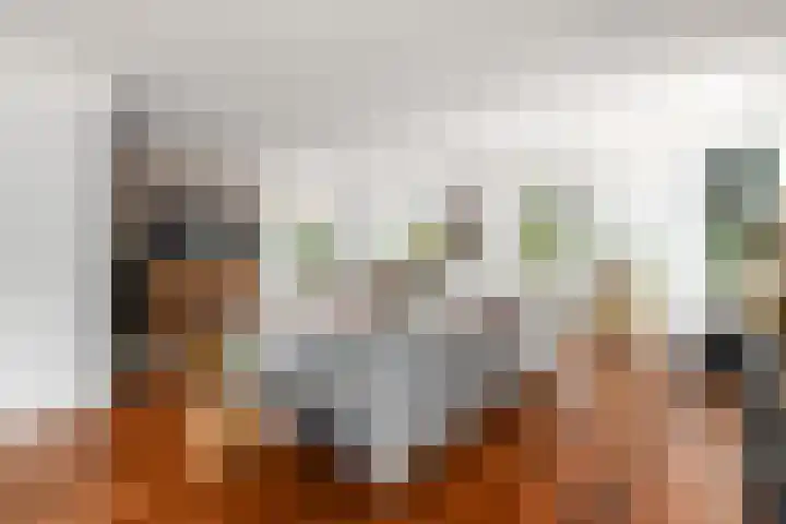 Topaas 2 a Drachten thumbnail 7