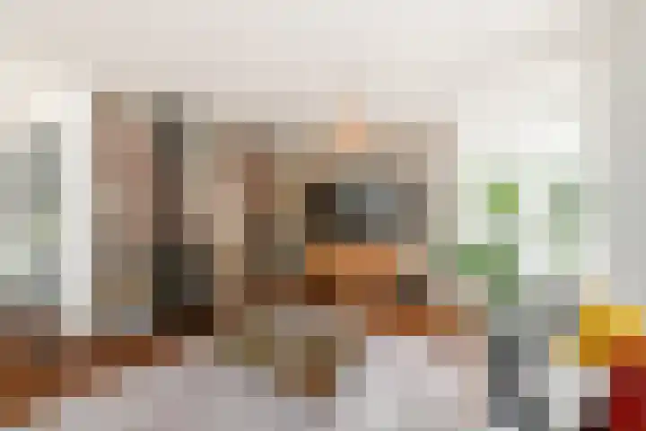 Topaas 2 a Drachten thumbnail 9