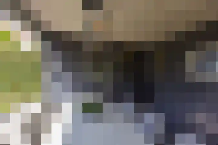 Topaas 29 Hoorn thumbnail 43