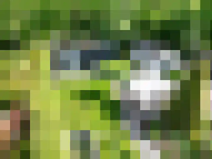 Topaas 29 Hoorn thumbnail 44