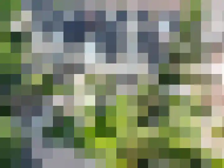 Topaas 29 Hoorn thumbnail 46
