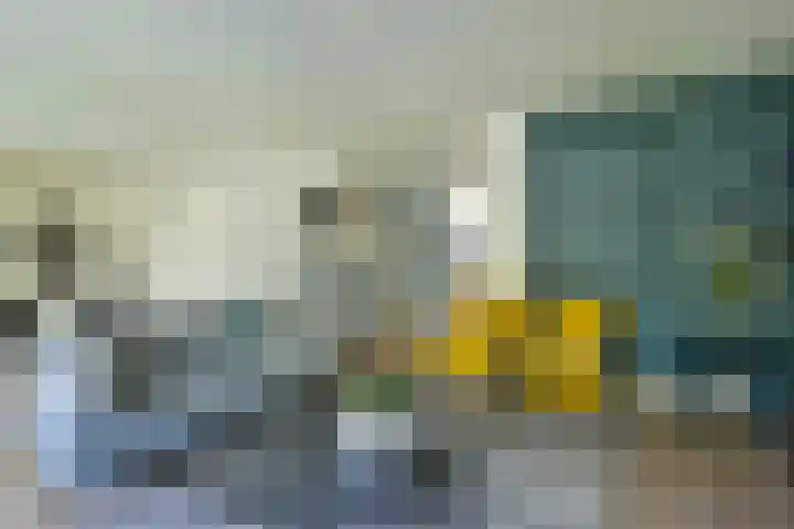 Topaas 29 Hoorn thumbnail 6