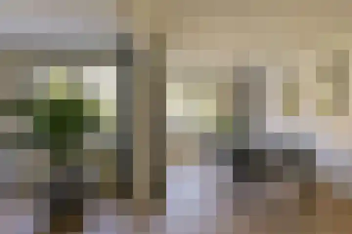 Topaas 29 Hoorn thumbnail 9